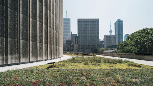Toronto city skyline view from a green rooftop with benches, supporting sustainable EMS solutions